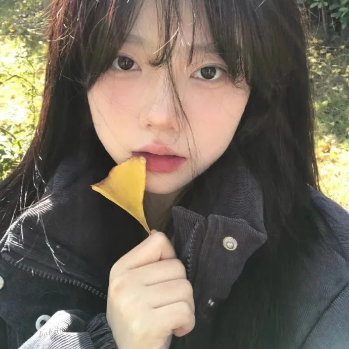 摇摆吉普赛