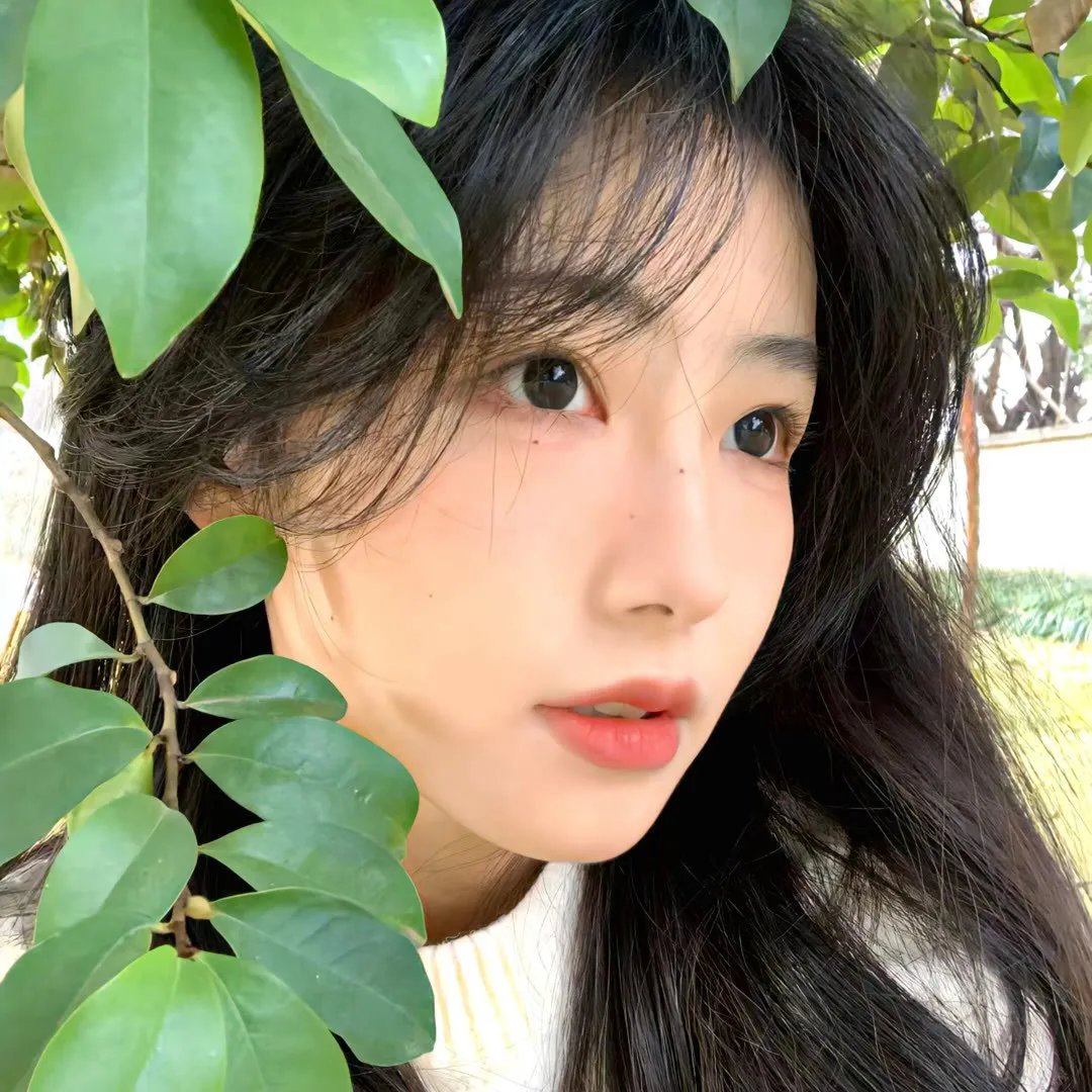 谎言的真相